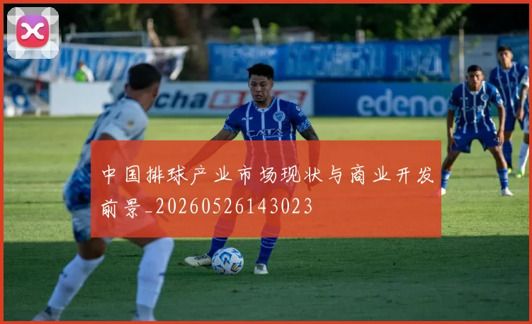 中国排球产业市场现状与商业开发前景_20260526143023